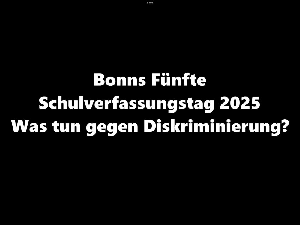 20250501 Schulverfassung1